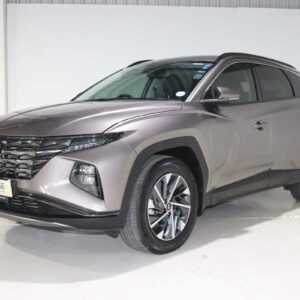 HYUNDAI TUCSON 2.0 EXECUTIVE A/T 2022